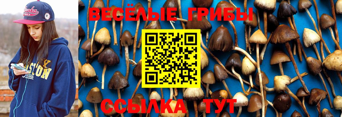 Галлюциногенные грибы MAGIC MUSHROOMS  Вход с VPN  Архангельск 