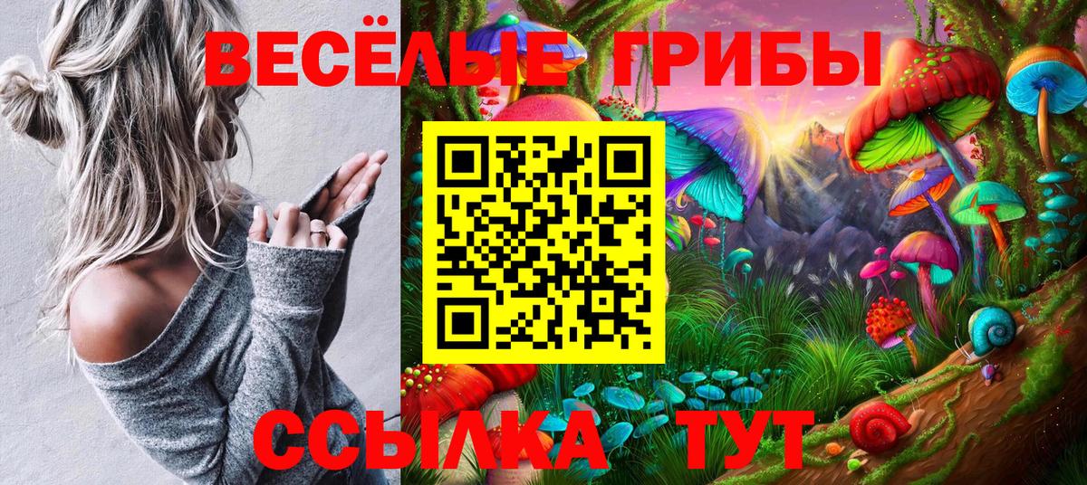 Галлюциногенные грибы Cubensis Архангельск