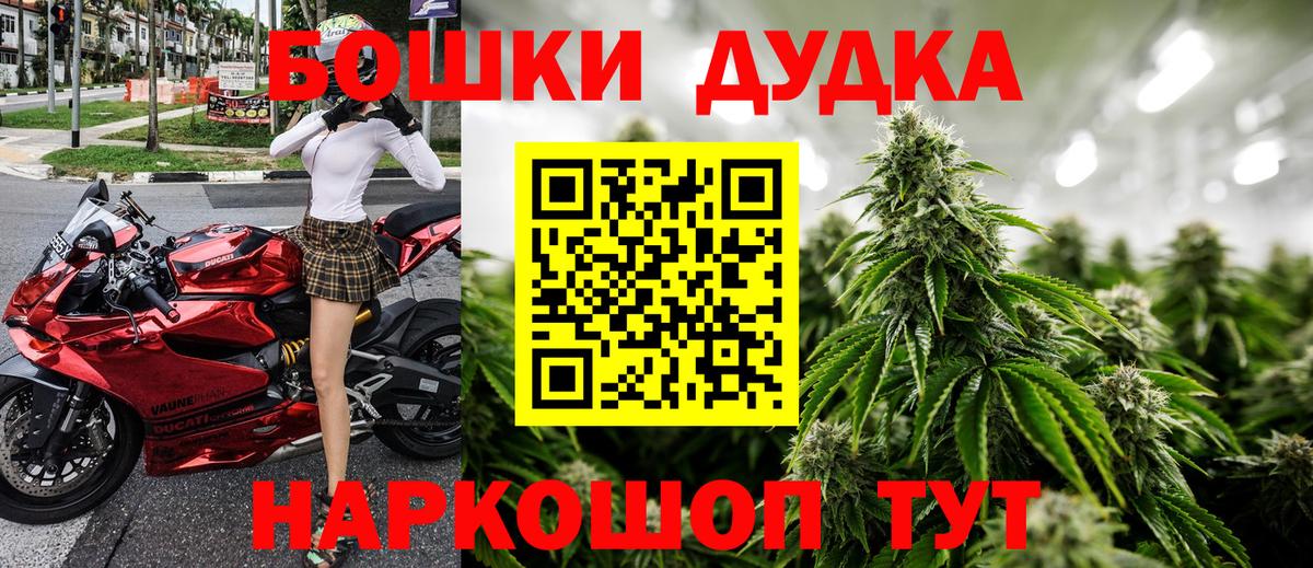 Марихуана сатива Архангельск
